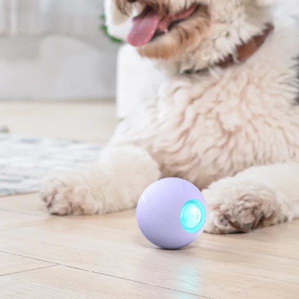 Smart dog toy Wicked Ball PE
