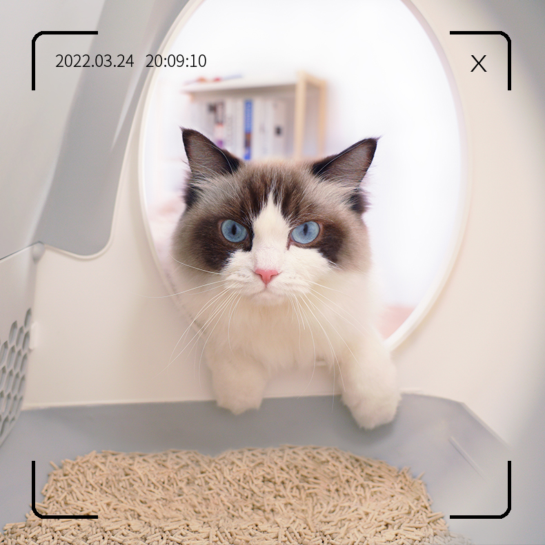 AIRROBO UCAT C10 PRO SMART CAT LITTER BOX